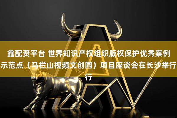 鑫配资平台 世界知识产权组织版权保护优秀案例示范点（马栏山视频文创园）项目座谈会在长沙举行