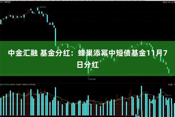 中金汇融 基金分红：蜂巢添幂中短债基金11月7日分红