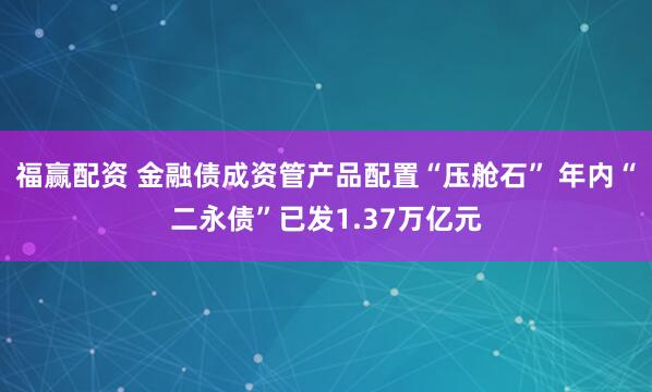 福赢配资 金融债成资管产品配置“压舱石” 年内“二永债”已发1.37万亿元