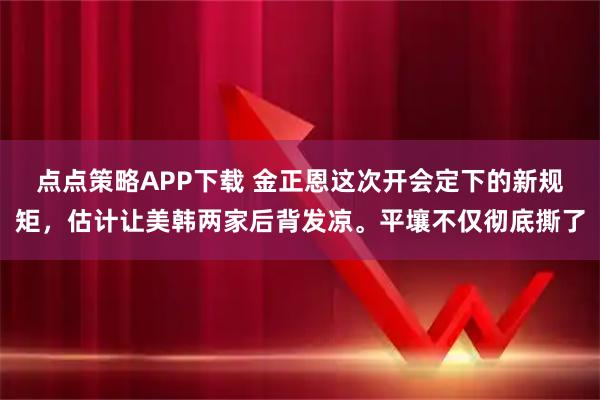 点点策略APP下载 金正恩这次开会定下的新规矩，估计让美韩两家后背发凉。平壤不仅彻底撕了